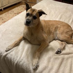 Meet your Posher, Nancy